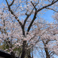 ドライブがてら