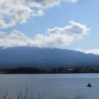 久しぶりに富士山を見に