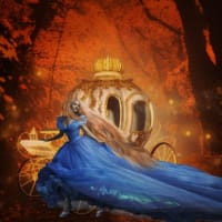 【A Dream Is A Wish Your Heart Makes】「魔法って,解けるから魔法なんだ」王子逮捕で“港区女子”のシンデレラ,ついに人生終了…成り上がりを夢見た彼女の結末