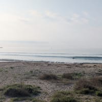 ２０２５年6月29日御宿海岸よねちゃん前