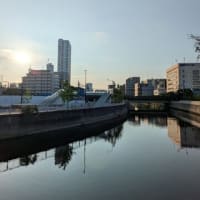 汗