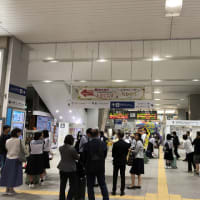 高知旅