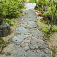 花のロンド