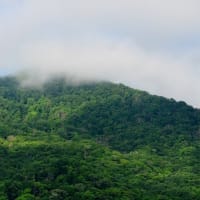 2025.07.05(土)AM06:54の藻岩山・平和祈念塔・三角山・円山