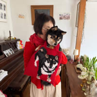 ☆小笹が2匹？