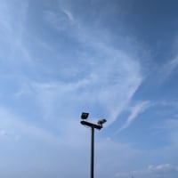 【気まぐれ写真館】 まだまだ、梅雨明け前