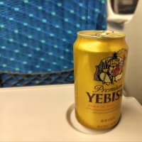 東京マラソン速報！　動悸にも負ケズ　練習不足にも負ケズ　暑さにも負ケズ！！　〜TOKYO2025　夢舞台Again！　３〜