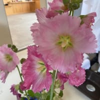 6月16日　お掃除の日