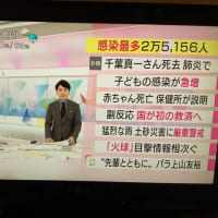 パスポートの発行官庁は 厳密に言えば 日本国 東京 外務省 テクノストラベル 読み捨てかわら版 これってどうなの旅の今昔