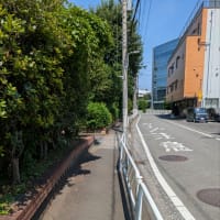 今日いち-2025年6月30日