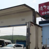 増毛