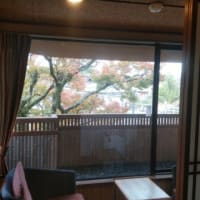 京都へ～紅葉と日本酒を愉しむ
