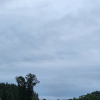 朝空
