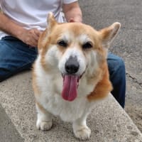 すごい大雨でした！！