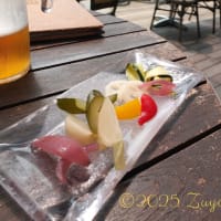 キャッ...いや、ピッチャー交代か！？