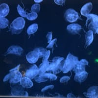 研修2日目