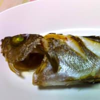レクチンフリー　黒めばるの塩焼き
