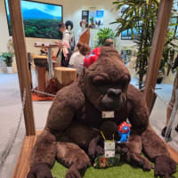 2度目の関西万博です！の続きです