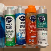 内外トランスラインから株主優待をいただきました