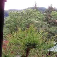 青梅市の沢井で　木々の緑と多摩川と清酒「澤乃井」と。　東京都最東部から最西部へ一時間50分の小さな旅を楽しんだ。　　その１