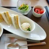 ブログでの出会い