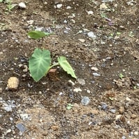 工事現場で