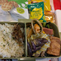 ６月２５日のお弁当