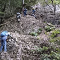 岩場行動技術講習（ステップ２／実践編）