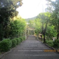 熊野神社の下り240425
