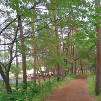 「紫雲寺記念公園」