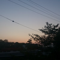5月6日「夕方」