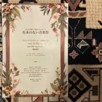 未来への翼　No.411