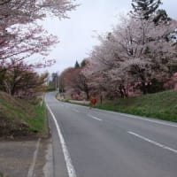 2011の春
