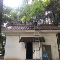 6月の日記１９　瓦修繕、杜の遊楽書