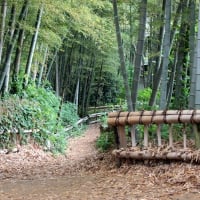 東久留米・竹林公園