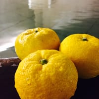 一陽来復、今日は冬至