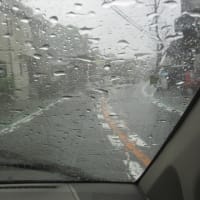 ニョきっと