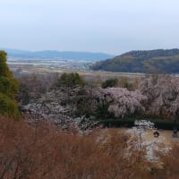 「松本竣介　街と人」
