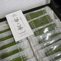 朝起きたら太陽出てる・・