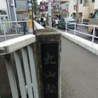 神田川沿い桜歩き（１）