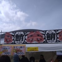 notte stellata 2025 会場にて