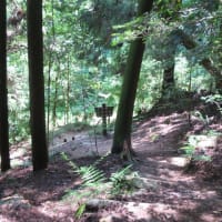 2025.6.26.　 2025年6月5回目極楽寺・極楽寺山・屋代コーストレッキングと蛇の池は満開のスイレン