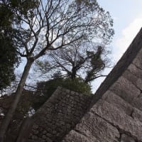 中世のバサラ武士、佐々木道誉ゆかりの丸亀城