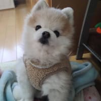 2025年の記録～その2　愛ちゃんの誕生日