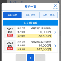 ２５０６２４：投票結果