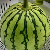 16時間ダイエット