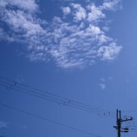 梅雨よ.