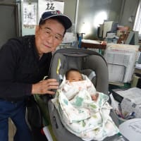２０２４年１２月１１日水曜日の事