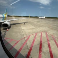 珍しく北へ。