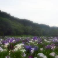 山々に抱かれた神楽女湖（かぐらめこ）